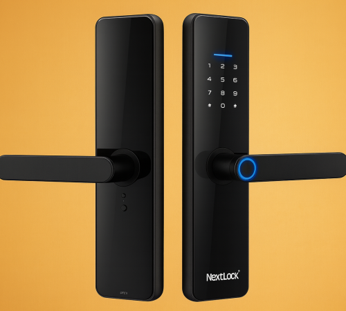 79920fd2-1aa9-4a62-a815-6be8572a2dba (1)